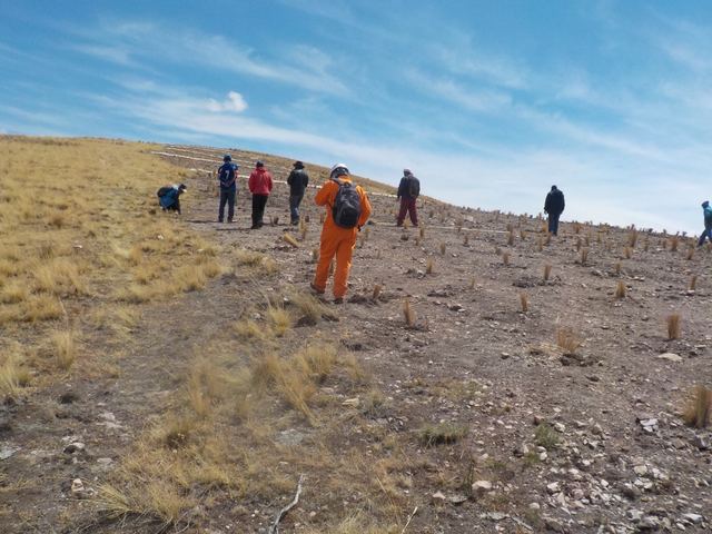 Trabajo técnico en terreno